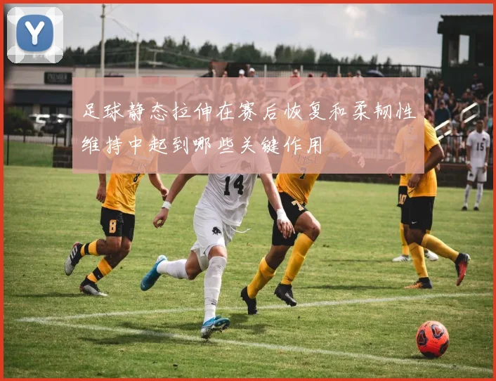 足球静态拉伸在赛后恢复和柔韧性维持中起到哪些关键作用