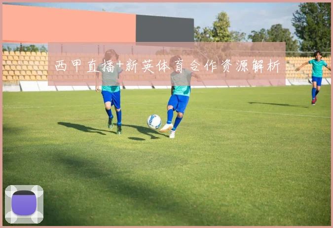 西甲直播+新英体育合作资源解析