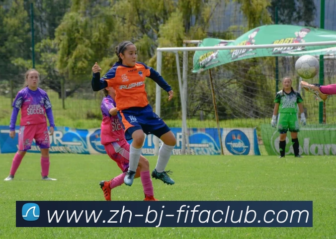 世界杯直播平台生态图