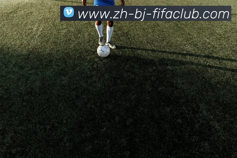 辅助工具 辅助工具